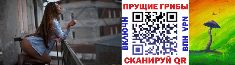 наркошоп  Лангепас  Псилоцибиновые грибы Psilocybine cubensis 